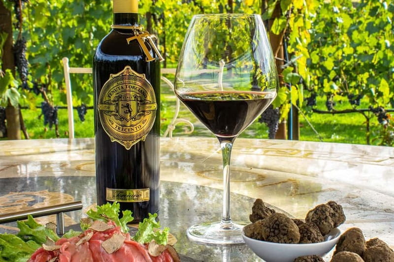 San Gimignano: Wine and Oil Tasting with Tuscan Appetizers - Arriving at Tenuta Torciano