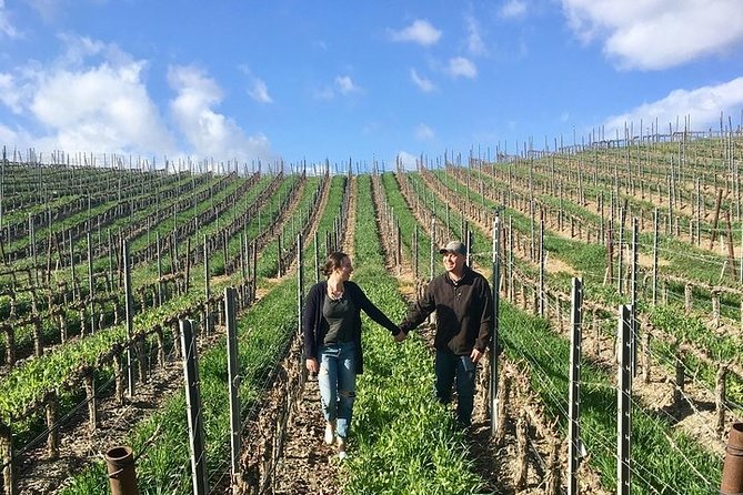 Santa Barbara Small-Group Wine Tour to Private Estates & Wineries - Practical details that matter