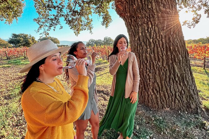 Santa Ynez Wine Tour (All-Inclusive) - Three wineries without the driving problem