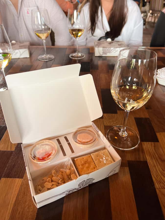 Santiago: Alyan Winery Sunset with Wine Tastings and Dinner - How the wine tasting is arranged