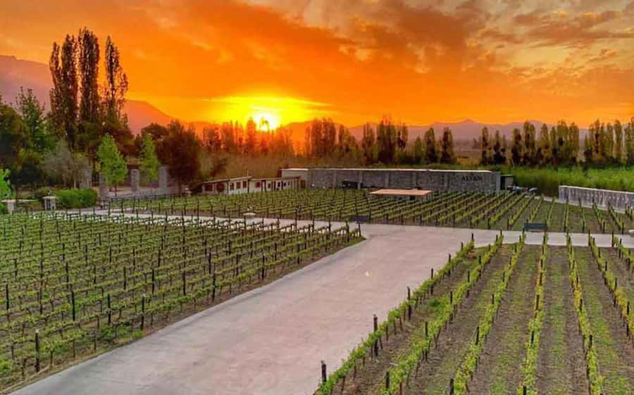 Santiago: Alyan Winery Sunset with Wine Tastings and Dinner - Cheese, charcuterie, and the informal dinner