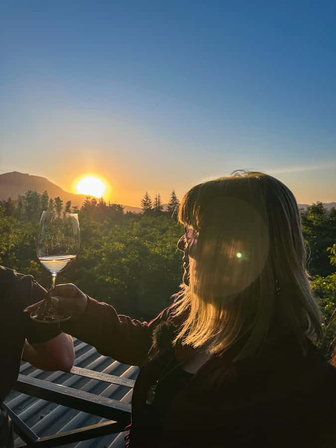 Santiago: Alyan Winery Sunset with Wine Tastings and Dinner - Is $111 a fair price?