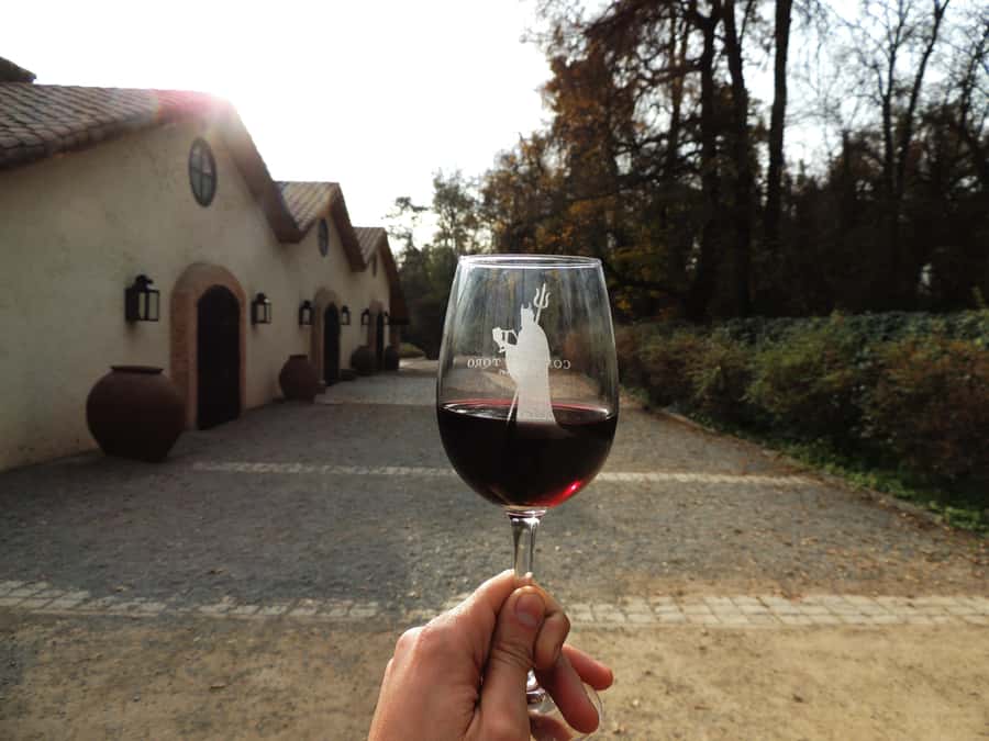 Santiago: Concha y Toro and Undurraga Vineyards Tour - Two Maipo wineries in one long day