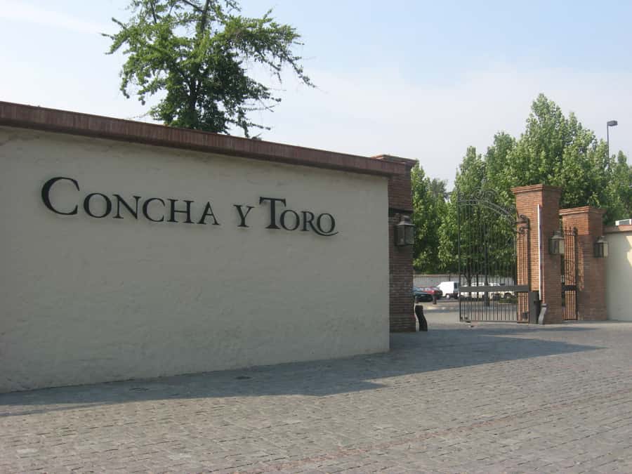 Santiago: Concha y Toro and Undurraga Vineyards Tour - Transport, group size, and the practical trade-offs