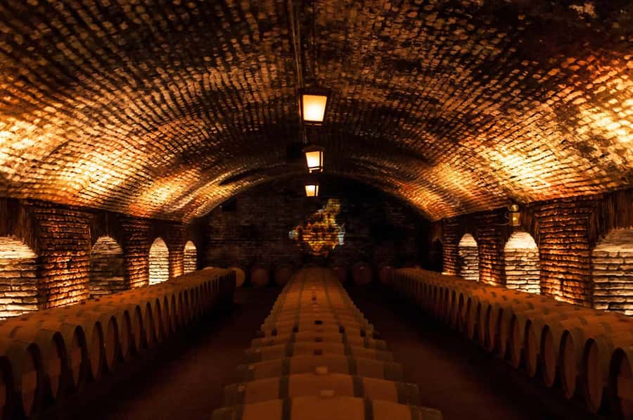 Santiago: Concha y Toro and Undurraga Vineyards Tour - Lunch is a real break, not part of the ticket