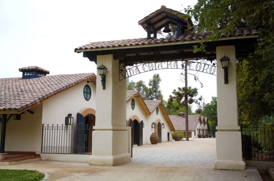 Santiago: Concha y Toro Vineyard Tour w/ Transfer & Tasting - What the trip to Pirque really involves