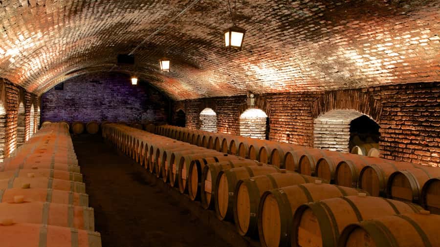 Santiago: Concha y Toro Vineyard Tour w/ Transfer & Tasting - The Casillero del Diablo story