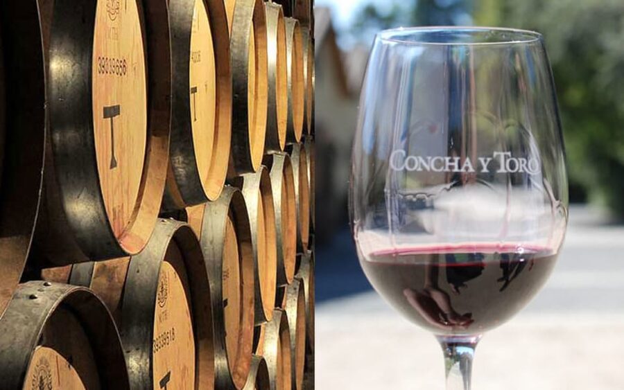 Santiago: Concha y Toro Vineyard Tour w/ Transfer & Tasting - Practical details that affect your decision