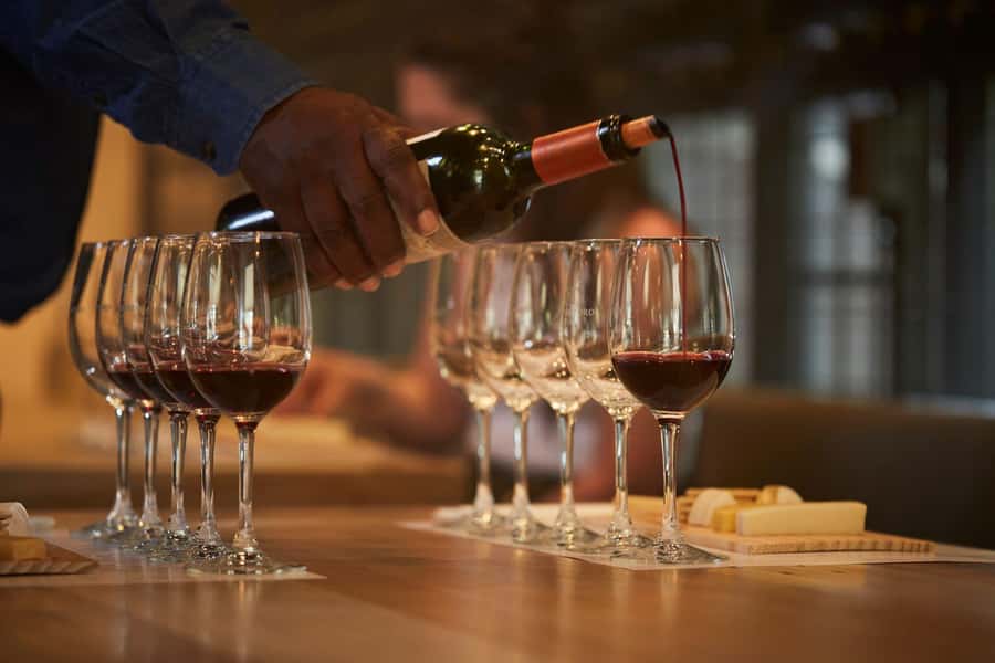 Santiago: Concha y Toro Vineyard Tour w/ Transfer & Tasting - Walking the vineyard rows in Pirque