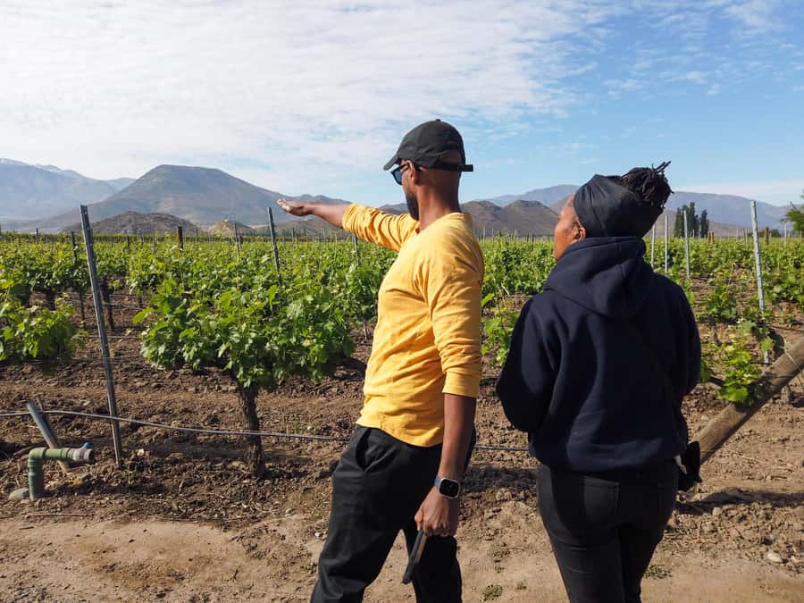 Santiago: Inca Lagoon Tour with Local Vineyard and Tasting - Who should book this Andes tour