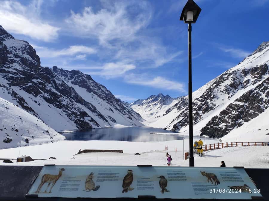 Santiago: Inca Lagoon Tour with Local Vineyard and Tasting - Aconcagua and the climb toward Los Caracoles