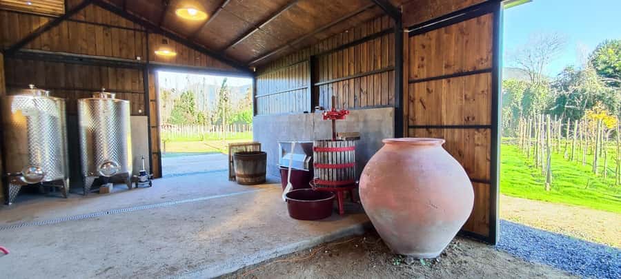 Santiago: Maipo Valley Wine Tasting Tour with 4 Vineyards - Undurraga explains the larger Chilean wine industry