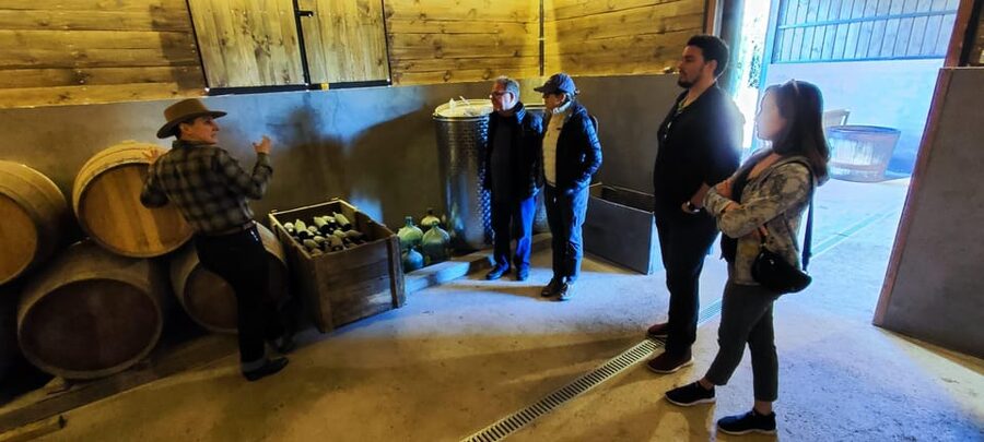 Santiago: Maipo Valley Wine Tasting Tour with 4 Vineyards - How much wine do you actually taste?