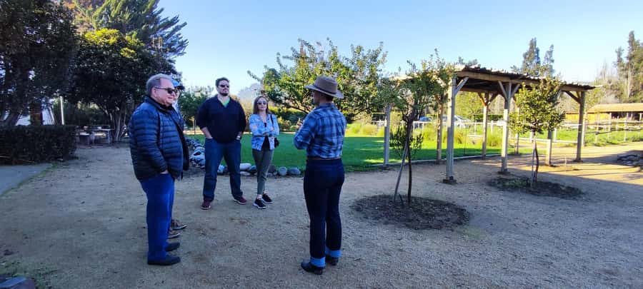 Santiago: Maipo Valley Wine Tasting Tour with 4 Vineyards - Is $134 a fair price?