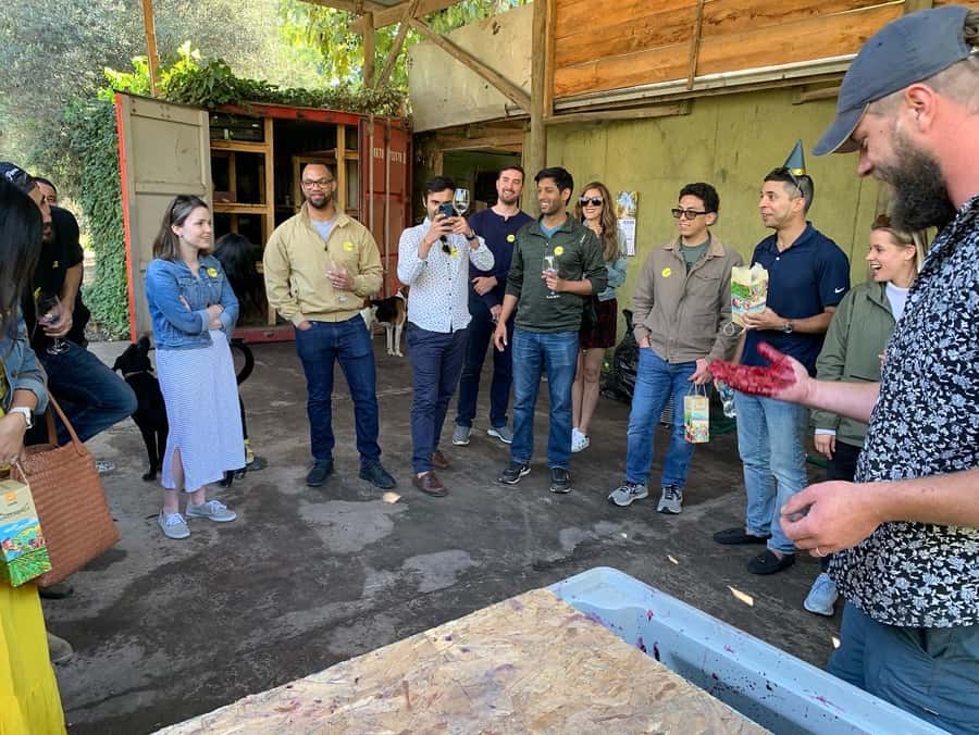 Santiago: Maipo Valley Wine Tasting Tour with 4 Vineyards - The guides make a real difference