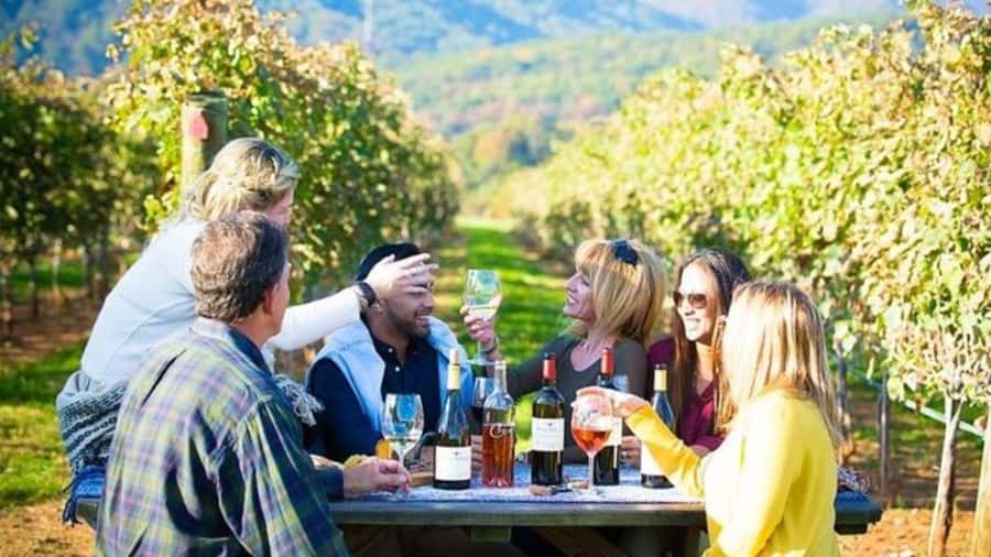 Santiago: Maipo Valley Wine Tasting Tour with 4 Vineyards - Campo La Quirinca brings the country into the wine tour