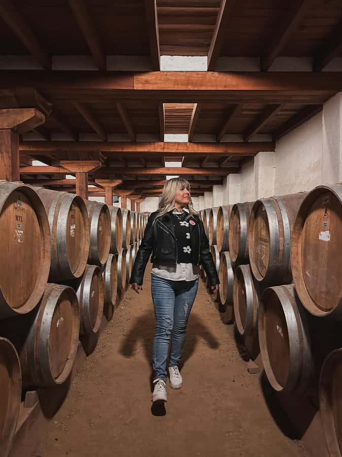 Santiago: Tour to Isla Negra, Algarrobo and Undurraga Wines - Key points at a glance