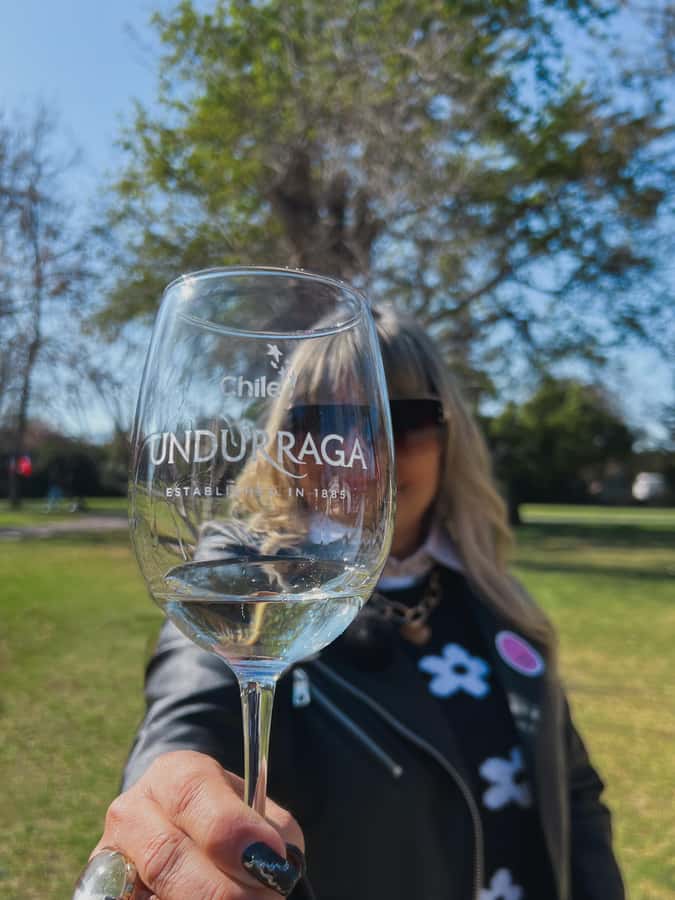 Santiago: Tour to Isla Negra, Algarrobo and Undurraga Wines - From Santiago to Chile’s Pacific coast