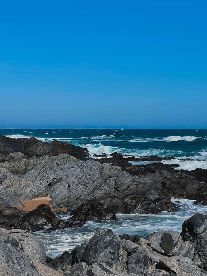 Santiago: Tour to Isla Negra, Algarrobo and Undurraga Wines - Isla Negra and Neruda’s sea-facing home