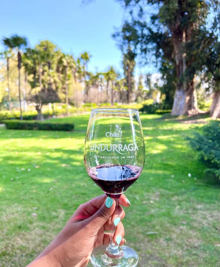 Santiago: Tour to Isla Negra, Algarrobo and Undurraga Wines - Should you book the Isla Negra and Algarrobo tour?