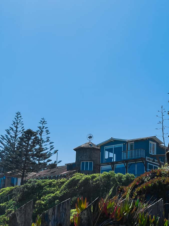 Santiago: Tour to Isla Negra, Algarrobo and Undurraga Wines - Undurraga winery and four Chilean wines