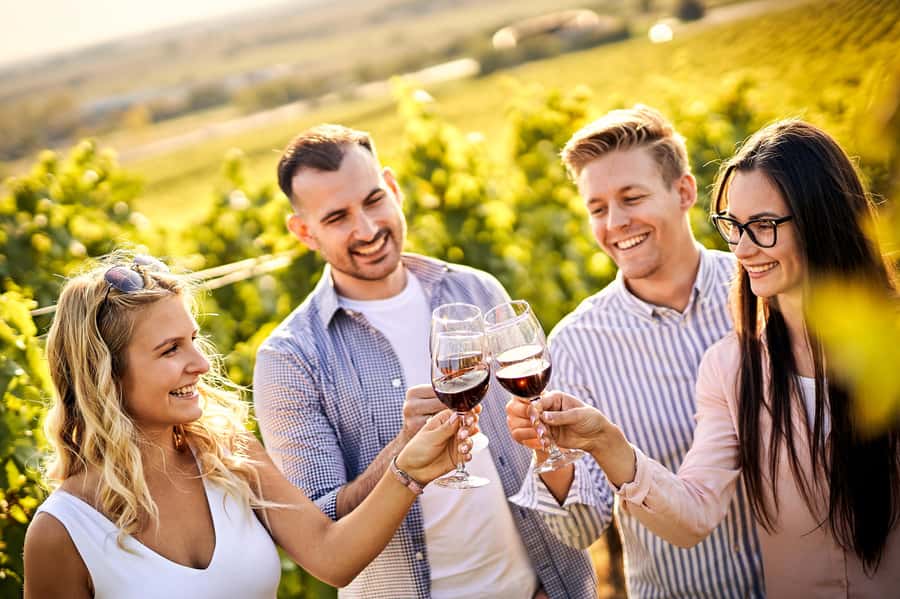 Santiago: World-class Wines, Visit to 4 Vineyards and Tanino - Four vineyards make this more than a standard tasting trip