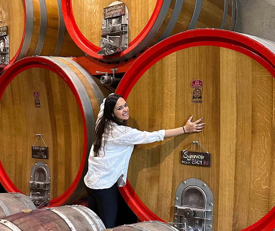 Santiago: World-class Wines, Visit to 4 Vineyards and Tanino - Emiliana begins the day with organic and biodynamic wine