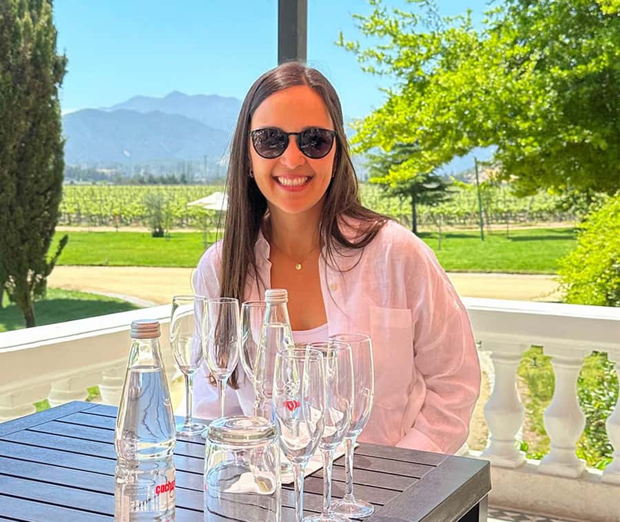 Santiago: World-class Wines, Visit to 4 Vineyards and Tanino - Bodegas RE offers the most unusual stop