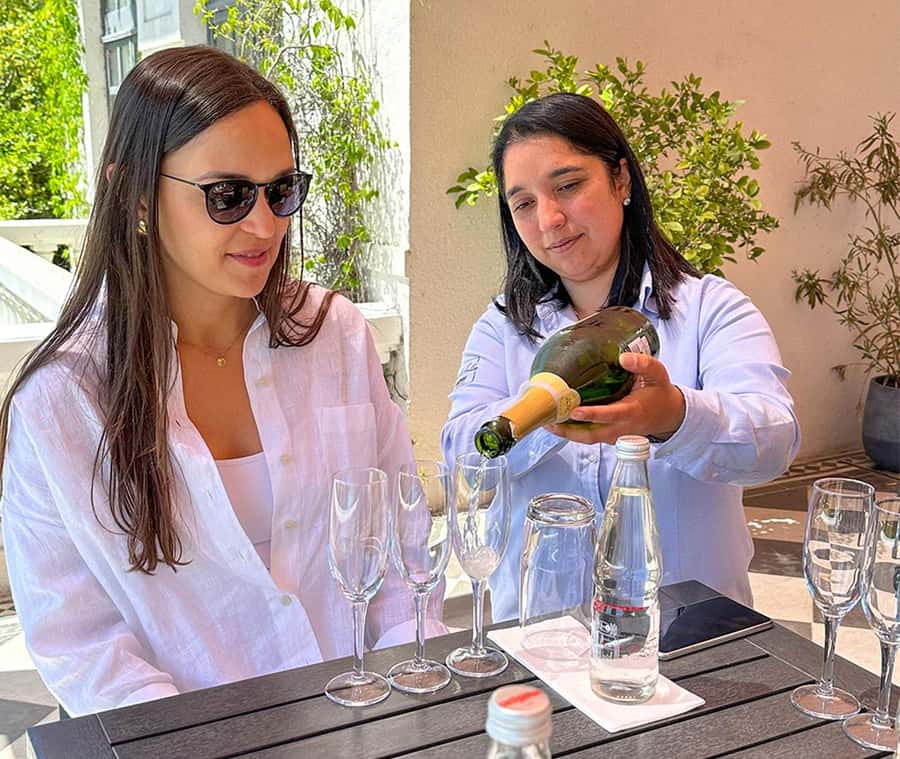 Santiago: World-class Wines, Visit to 4 Vineyards and Tanino - Transport, group size, and accessibility
