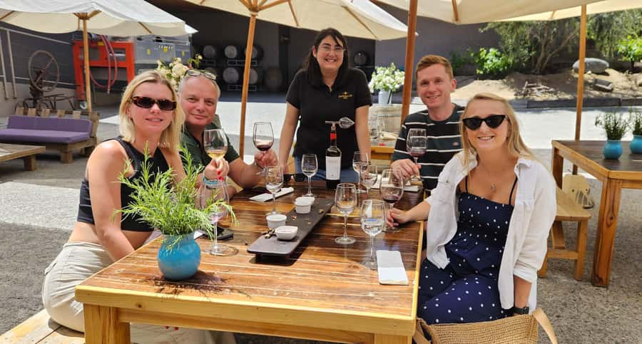 Santiago: World-class Wines, Visit to 4 Vineyards and Tanino - Who will enjoy this day most?