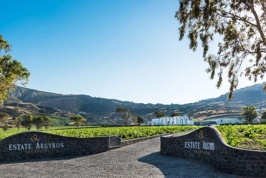 Santorini: Guided Wineries Private Tour with Wine Tastings - Estate Argyros adds modern production and Assyrtiko