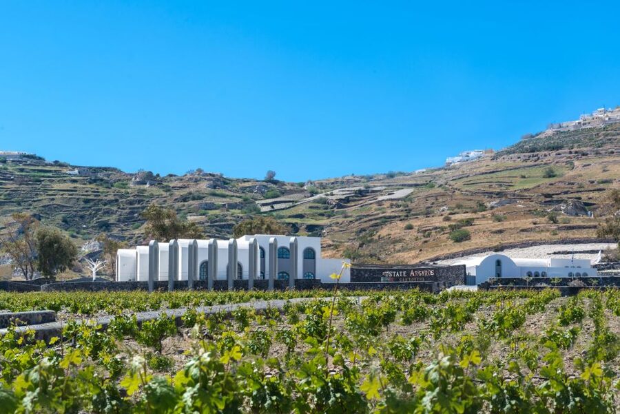 Santorini: Guided Wineries Private Tour with Wine Tastings - Who will get the most from this wine tour