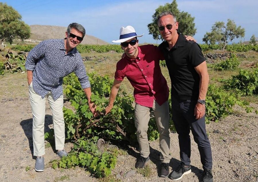 Santorini: Small-Group Sunset Wine Tour with Santo Winery - First stop: Domaine Sigalas and the character of local whites