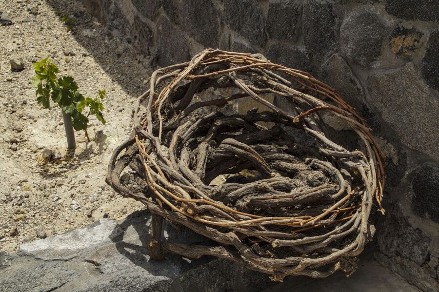 Santorini: Three Wineries and One Brewery Tour with Tastings - Transport makes the tasting practical
