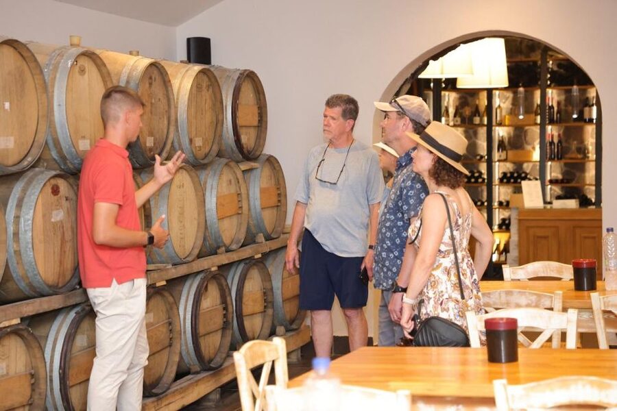 Santorini: Tour of Wineries with Wine Tasting & Food - The vineyard stop and Santorini’s old growing methods