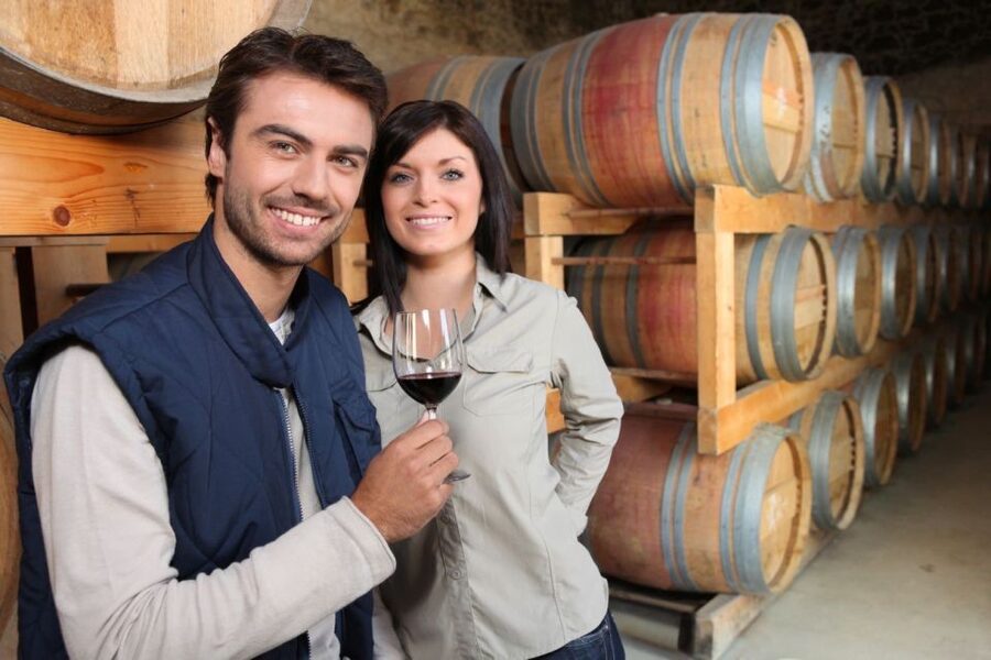 Santorini: Tour of Wineries with Wine Tasting & Food - Starting in a small minivan