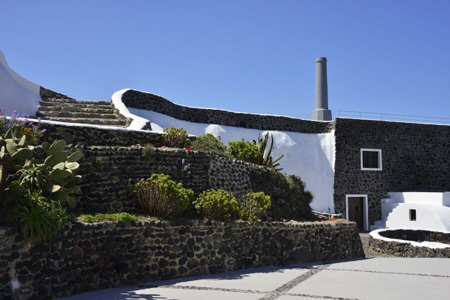 Santorini: Wine Tasting Tour to 3 Wineries with Transfer - What you are likely to taste
