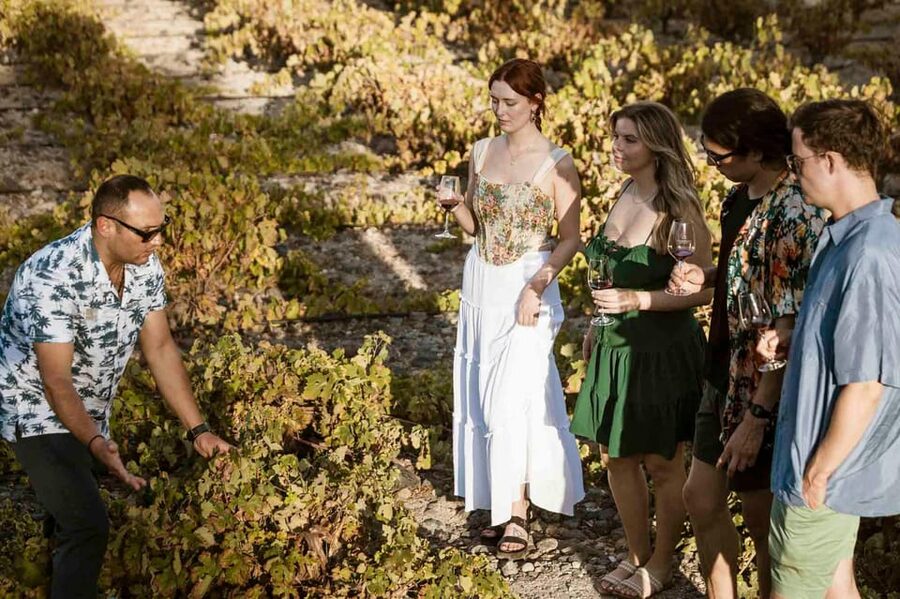 Santorini: Wine Tasting Tour with Snacks - Starting with Estate Argyros and the island’s vines