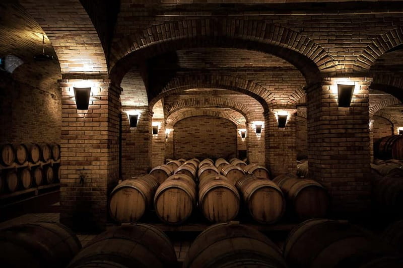 Sardinia: Winery Tour and Wine Tasting Experience - Why this winery visit feels different