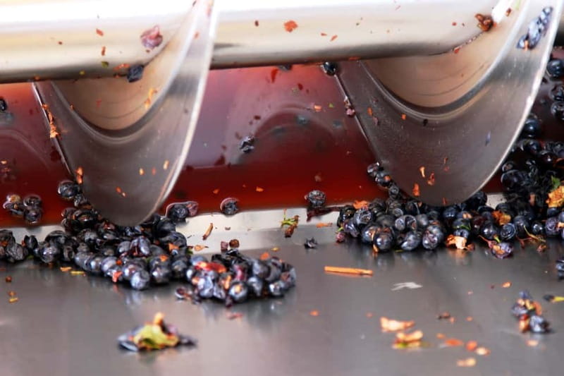Sardinia: Winery Tour and Wine Tasting Experience - The vineyards and Sardinia’s wine country