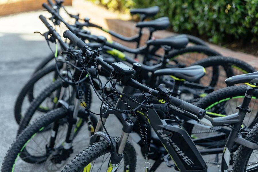 Scenic E-Bike Ride with Vineyard Wine & Meal - Why this ride is a smart change of pace from Naples