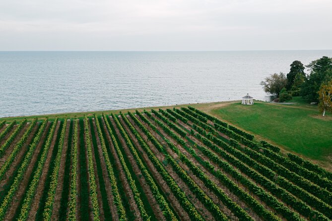 Seated Tasting Experience at Konzelmann Winery - Arriving at the new tasting hall