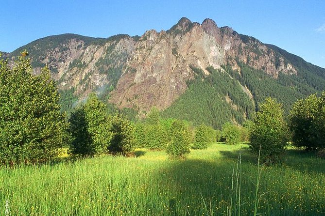 Seattle Wine & Snoqualmie Falls Highlights Tour - Through Carnation and the Cascade foothills