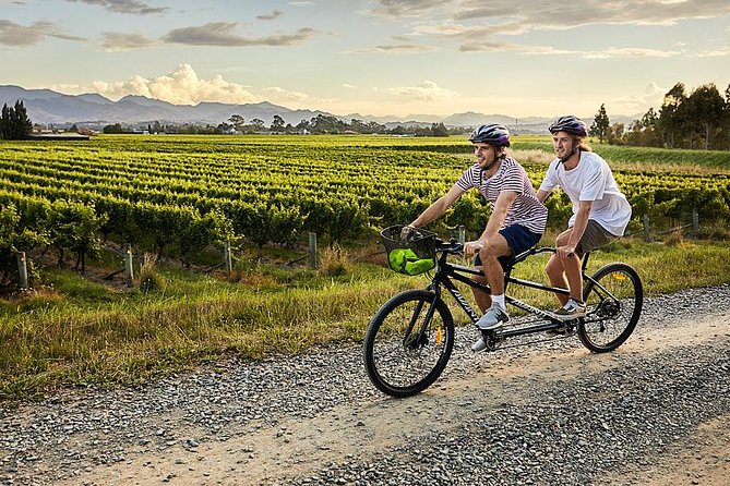 Self-Guided Biking Wine Tour (full day) in the Marlborough Region. - The value of the $43.44 price