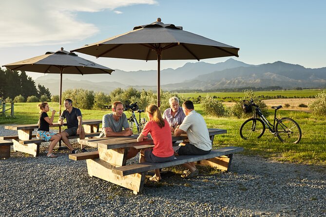 Self-Guided Biking Wine Tour (full day) in the Marlborough Region. - Practical details that affect the day