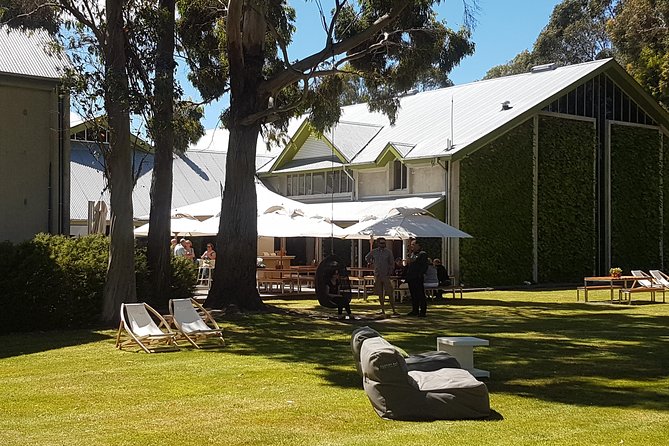 Self-Guided Biking Wine Tour (full day) in the Marlborough Region. - Choosing the right bicycle