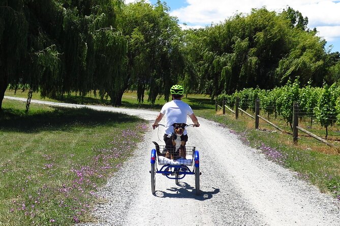 Self-Guided Wine Tours by Bike with Lorelle & Greg - Why biking works so well in Marlborough