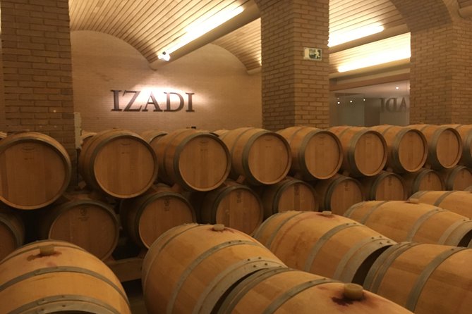 Semi-Private Rioja Tour of 3 Premium Wineries from Bilbao - The Frank Gehry hotel and vineyard photographs