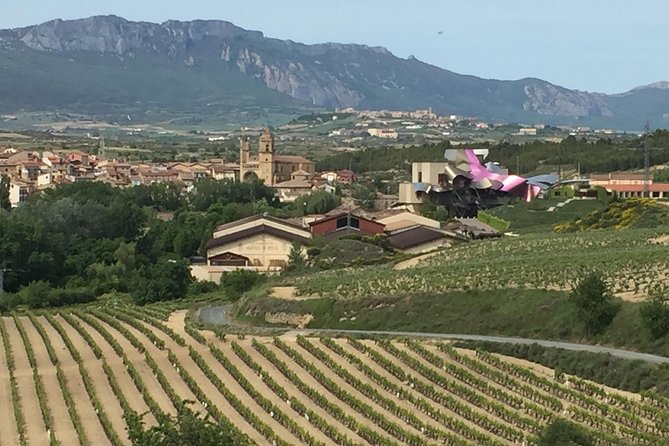 Semi-Private Rioja Tour of 3 Premium Wineries from Bilbao - Who should book this tour