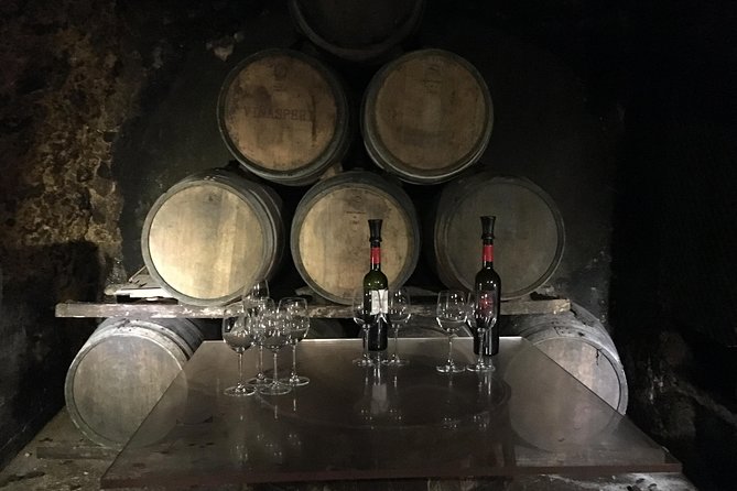 Semi-Private Rioja Tour of 3 Premium Wineries from Bilbao - Two family wineries in Samaniego
